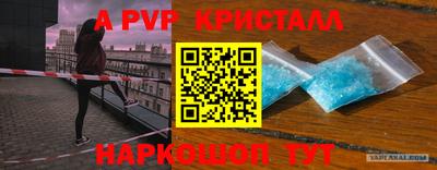 шишки Свободный