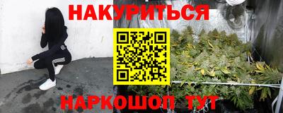шишки Свободный