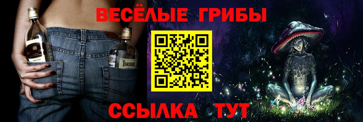 Псилоцибиновые грибы мухоморы  Псилоцибиновые грибы GOLDEN TEACHER  Вход с VPN  Ростов Великий 